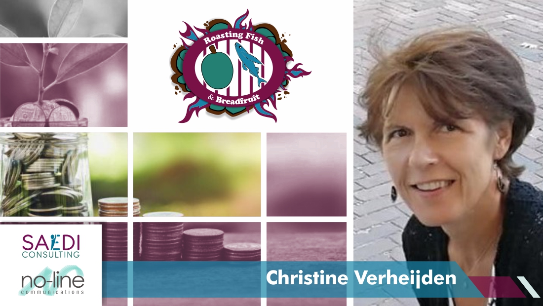Presented by Christine Verheijden - International Consultant of Diversity2Change - Netherlands
